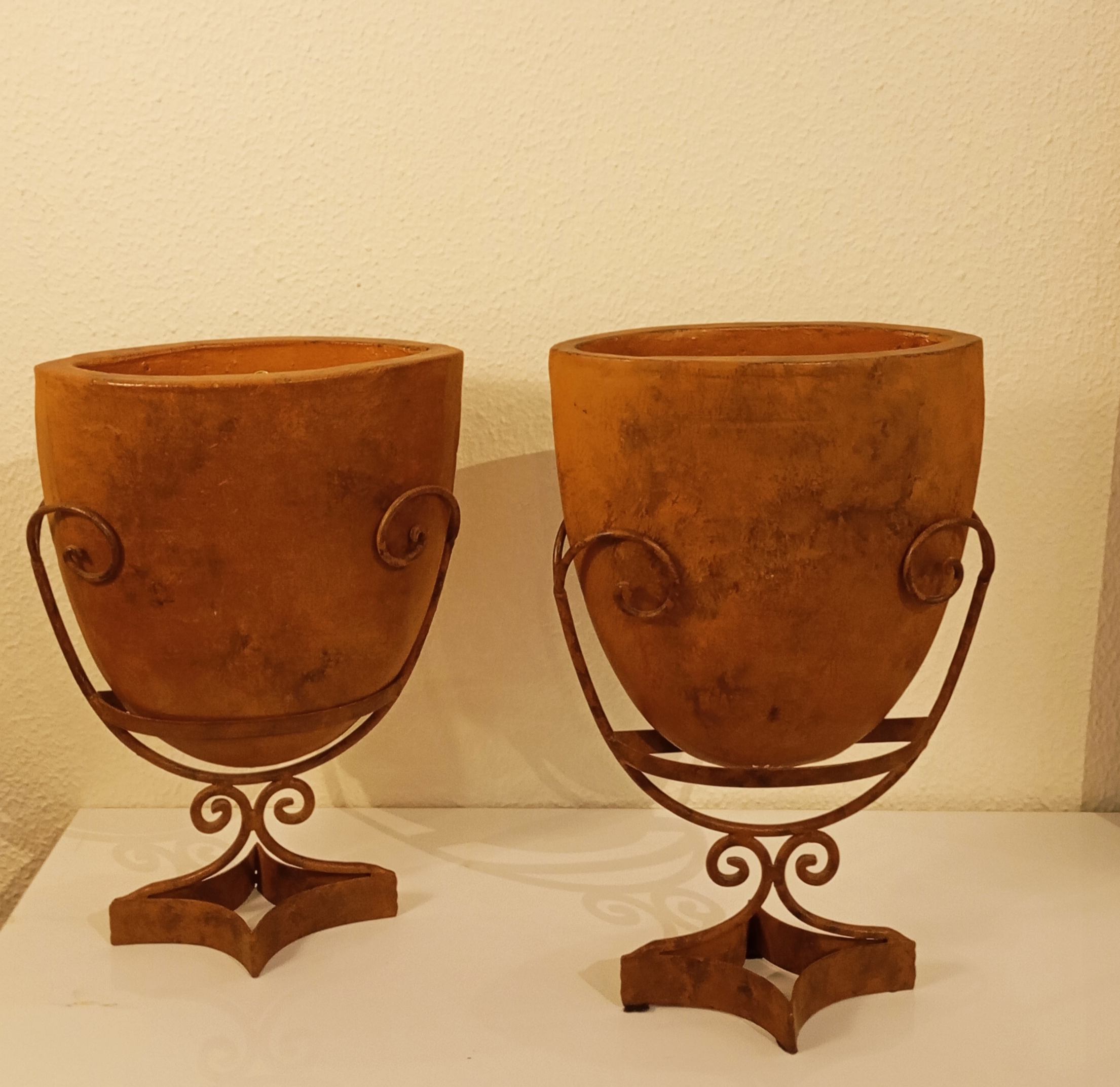 1000012644 1000012644