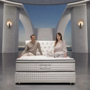 THE-ABSOLUTE-PLATINUM-2-300x300